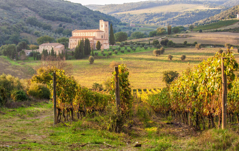 Wine Tour Of Brunello Di Montalcino In A Small Group